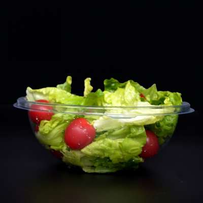 restaurant packing container with lid vacuum forming food grade plastic disposable salad bowl