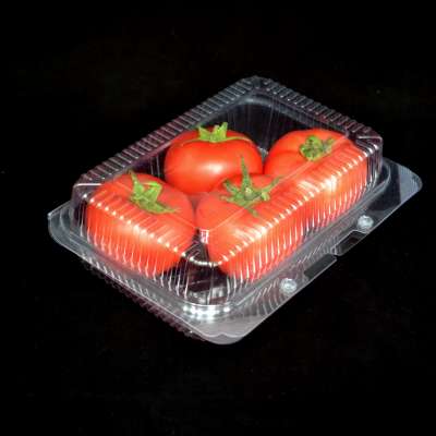 food container to go containers clamshell packaging sushi box plastic