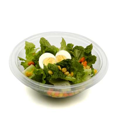 Transparent Disposable Airtight Plastic PET Takeaway Food Grade Container